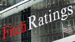 Fitch, Petkim'in kredi notunu teyit etti