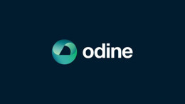 Fon soruşturmasında gündeme gelen ODINE'den açıklama