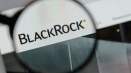 BlackRock'ın Türkiye yatırımlarında sert düşüş