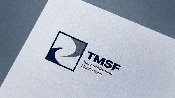 Tera, Hedef ve Destek'te yönetim TMSF'ye devredildi