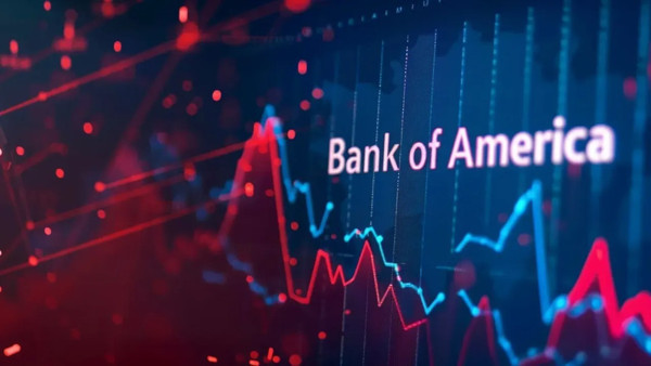 BofA'nın iştiraki ALVES hissesinde yüzde 5’in altına indi