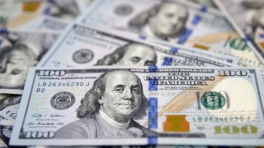 Yurt içi yerleşiklerin döviz mevduatı 1,9 milyar dolar arttı
