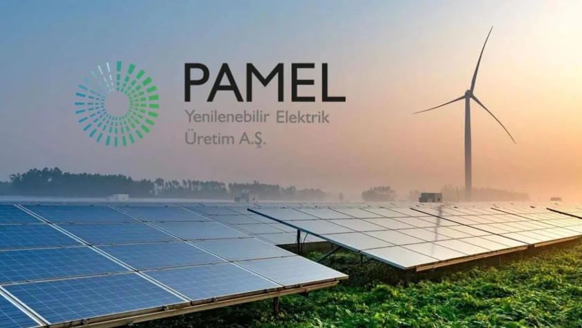 Manipülasyon soruşturması sonrası Pamel hisseleri çakıldı